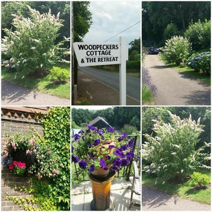 Woodpeckers Cottage B&B Pett Экстерьер фото